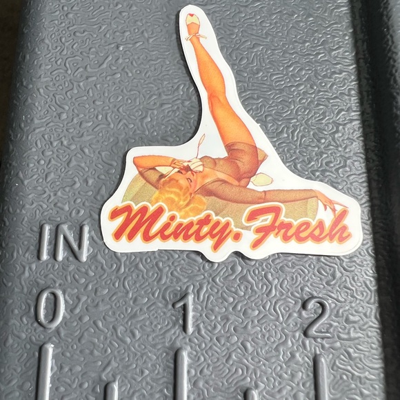 MINTY Sexy Pinup Gorgeous Sticker Retro Vintage BomberGirl Ace Pilot - Picture 5 of 5